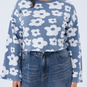 Cider Bell Sleeved cropped sweater